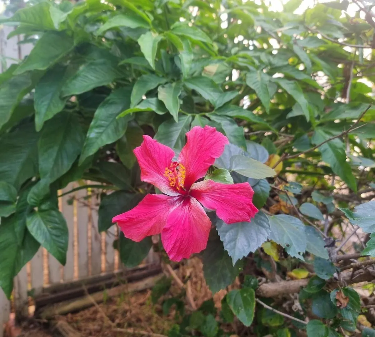 Sweet Home For Guests 10 Mins To Cbd Brisbane Australia
