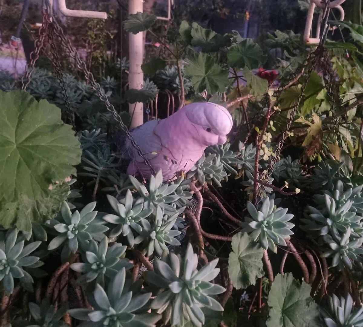 בריסביין Sweet Home For Guests 10 Mins To Cbd